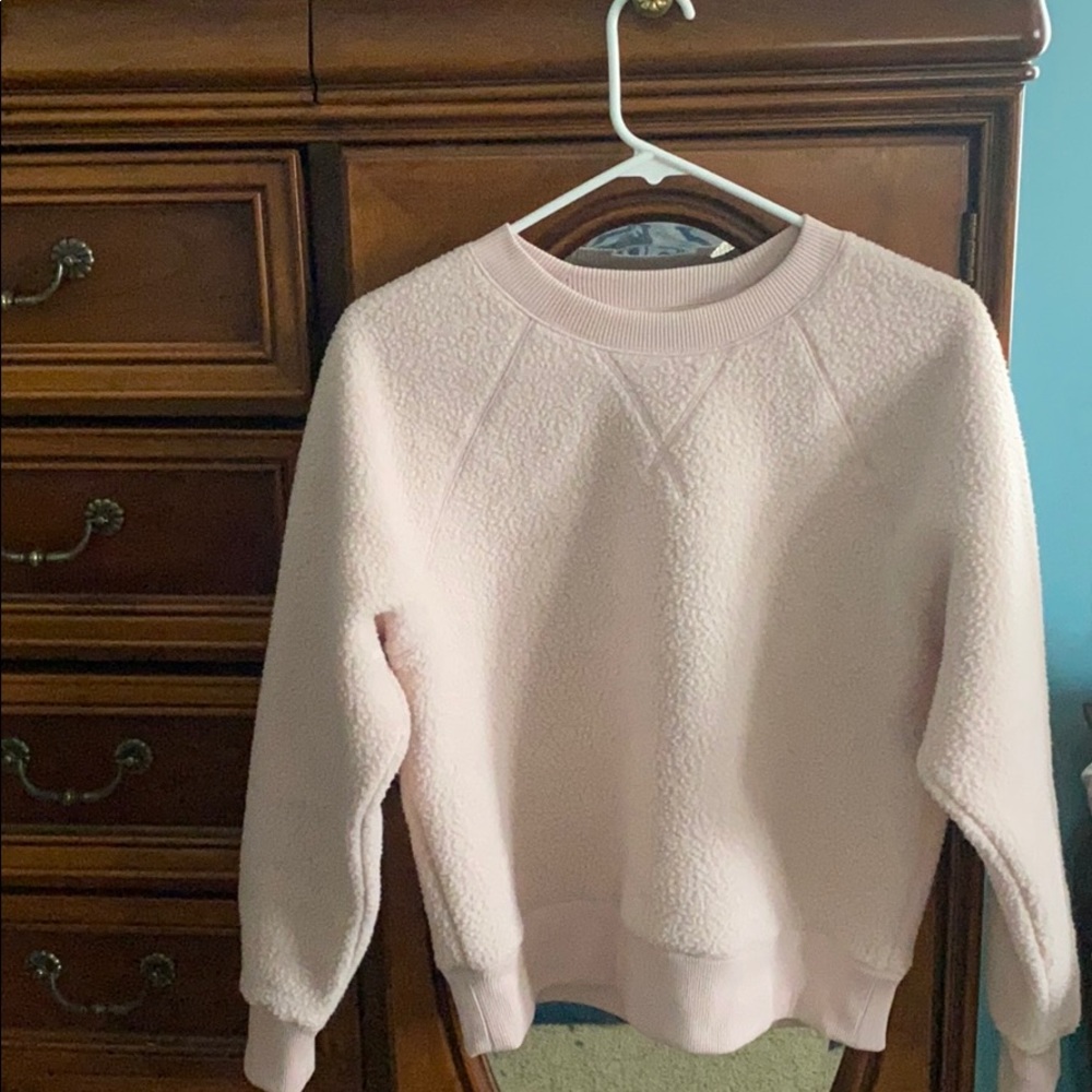 Everlane Crewneck Sweater/Pullover